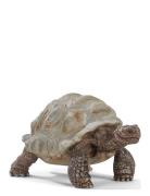 Schleich Giant Tortoise Toys Playsets & Action Figures Animals Multi/p...