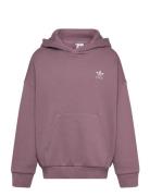 Hoodie Tops Sweatshirts & Hoodies Hoodies Purple Adidas Originals