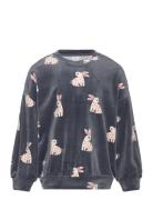 Sweater Velour Aop Rabbit Tops Sweatshirts & Hoodies Sweatshirts Grey ...