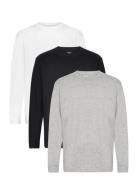 Hco. Guys Knits Tops T-Langærmet Skjorte Grey Hollister