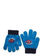 Gloves Accessories Gloves & Mittens Gloves Blue Spider-man