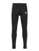 Leggings Sport Leggings Black Adidas Originals