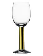 Nobel Goblet 39Cl  Home Tableware Glass Beer Glass Gold Orrefors