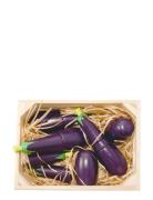 5 Eggplants With Magnet In A Box Toys Toy Kitchen & Accessories Toy Fo...