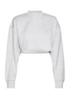 Studio Over D Cropped Crew Sport Crop Tops Long-sleeved Crop Tops Grey...