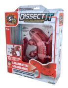 Dissect It Salamander Toys Experiments And Science Multi/patterned Mar...