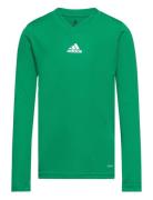 Team Base Tee Y Sport T-shirts Long-sleeved T-Skjorte Green Adidas Per...