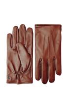 Liam Accessories Gloves Finger Gloves Brown Kessler