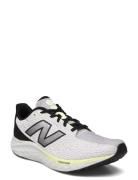 New Balance Freshfoam Arishi V4 Sport Sport Shoes Sport Running Shoes ...