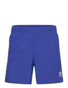 Adicolor Classics Sprinter Shorts Sport Sport Clothing Sport Shorts Sp...