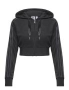 Adidas Originals Short Fullzip Hoodie Sport Women Sport Clothing Sport...