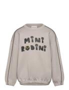 Mini Rodini Cats Sp Sweatshirt Tops Sweatshirts & Hoodies Sweatshirts ...