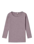 Nmfkab Ls Top Noos Tops T-shirts Long-sleeved T-Skjorte Purple Name It