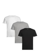 Stretch Cn Tee Ss 3Pack Tops T-Kortærmet Skjorte Multi/patterned Tommy...