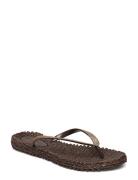 Flip Flop With Glitter Shoes Summer Shoes Sandals Flip Flops Brown Ils...