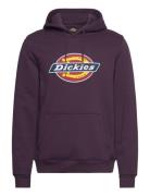 Icon Logo Hoodie Tops Sweatshirts & Hoodies Hoodies Purple Dickies