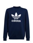 Trefoil Crew Tops Sweatshirts & Hoodies Sweatshirts Navy Adidas Origin...