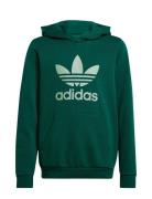 Trefoil Hoodie Tops Sweatshirts & Hoodies Hoodies Green Adidas Origina...