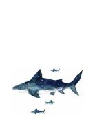 Wallstickers - Giant Shark Home Kids Decor Wall Stickers Blue RoomMate...