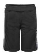 Shorts Bottoms Shorts Sport Shorts Black Adidas Originals