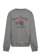 Supply Boutique Crew Tops Sweatshirts & Hoodies Sweatshirts Grey VANS