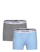 2Pk Trunk Night & Underwear Underwear Panties Multi/patterned Calvin K...