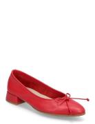 Dari Ballerinasko Ballerinaer Red Wonders