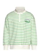 Sweater Halfzip W Stripe Tops Sweatshirts & Hoodies Sweatshirts Green ...