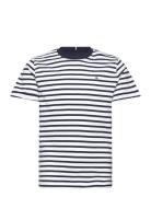 Essential Cotton Reg Fit Tee Ss Tops T-Kortærmet Skjorte Navy Tommy Hi...