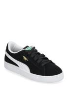 Suede Classic Ps Low-top Sneakers Black PUMA