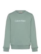 Inst. Logo Regular Cn Tops T-shirts Long-sleeved T-Skjorte Green Calvi...