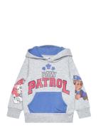 Sweats Tops Sweatshirts & Hoodies Hoodies Grey Paw Patrol