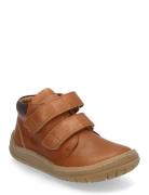 Shoes - Flat - With Velcro High-top Sneakers Brown ANGULUS