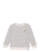 Sweater Stripe Tops Sweatshirts & Hoodies Sweatshirts Beige Daily 7