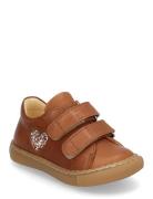 Shoes - Flat - With Velcro Low-top Sneakers Brown ANGULUS