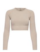 Ribbed Seamless Crop Long Sleeve Sport Crop Tops Long-sleeved Crop Top...