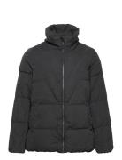 Capeachy, L/S, Jacket Foret Jakke Black Zizzi