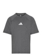 J Gt Pz Tee Tops T-Kortærmet Skjorte Grey Adidas Sportswear