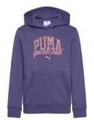 Puma Class Hoodie Tr G Sport Sweatshirts & Hoodies Hoodies Blue PUMA