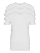 Slim Crewneck 3-Pack Tops T-Kortærmet Skjorte White Polo Ralph Lauren