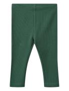 Jersey Legggings Jules Bottoms Leggings Green Wheat