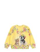 Maxi Tops Sweatshirts & Hoodies Sweatshirts Yellow Molo