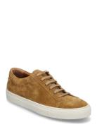 Jermain Suede Sneaker Low-top Sneakers Brown Polo Ralph Lauren