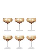 Meadow Cocktail Glass - 6 Pack Home Tableware Glass Cocktail Glass Ora...