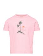 Big Rooster Kid T-Shirt Pink 14Y Tops T-Kortærmet Skjorte Pink THE ANI...