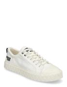 Palla Ace Lo Surplus Low-top Sneakers White Palladium