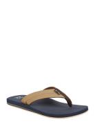 All Day Impact Klipklapper Sandaler Navy Billabong