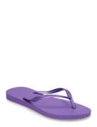 Hav. Slim Shoes Summer Shoes Sandals Flip Flops Purple Havaianas