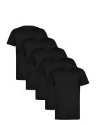 Claudio 5-Pack T-Shirt Cotton Tops T-Kortærmet Skjorte Black Claudio