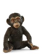 Schleich Chimpanzee Cub Toys Playsets & Action Figures Animals Brown S...